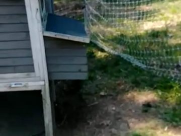 S1: E11 She needs privacy