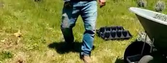 S1: E5 Organizing the layout of the lavender field