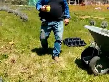 S1: E5 Organizing the layout of the lavender field