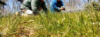 S1: E8 Dave & Paul bonding while planting lavender