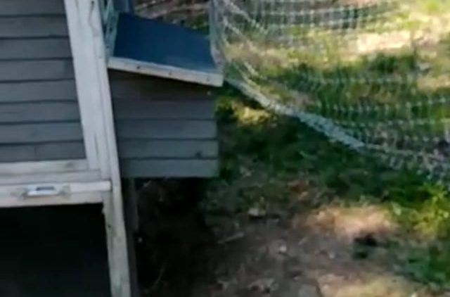 S1: E11 She needs privacy