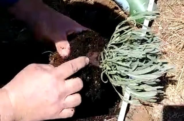 S1: E7 Dave acting like the lavender SME